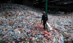 The end of plastic? New plant-based bottles will degrade in a year