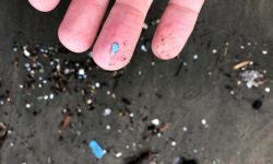 14 million tons of microplastics on seafloor
