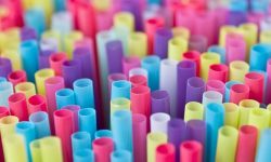 Nam Úc chính thức cấm nhựa sử dụng một lần