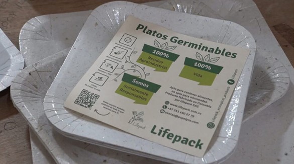 Những chiếc đĩa chứa hạt giống của Lifepack