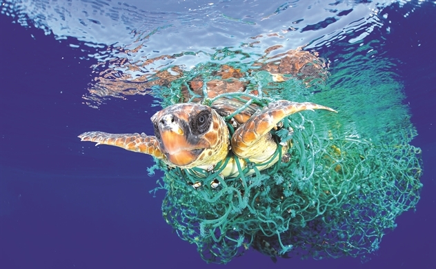 Các loại lưới ma gây nguy hại đến sinh vật biển