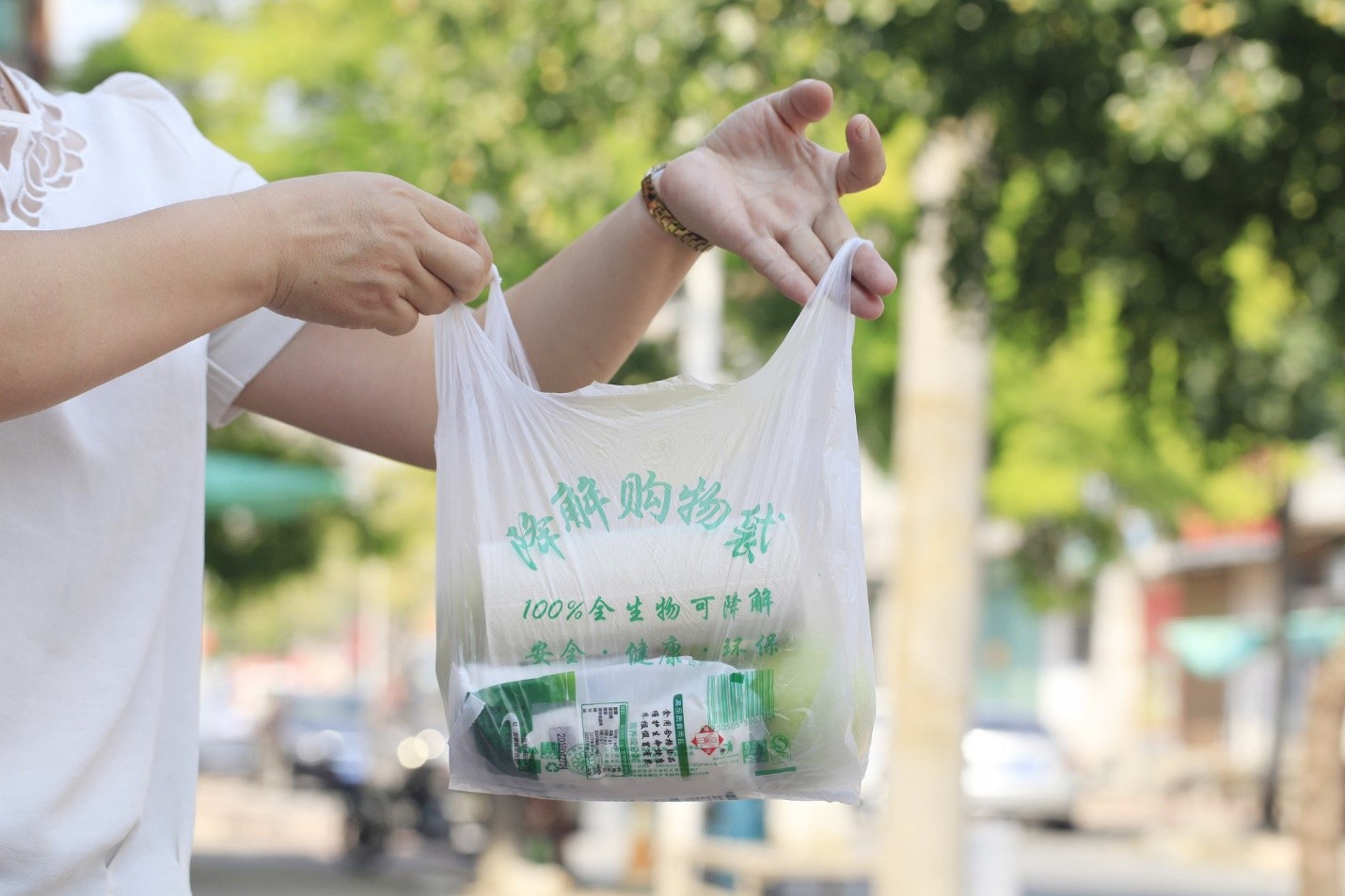 Một chiếc túi sinh học có khả năng phân hủy được sử dụng để mua sắm