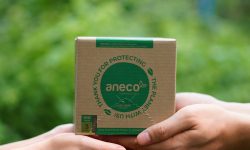 Sản phẩm sinh học phân hủy hoàn toàn của AnEco đã có mặt trên Amazon
